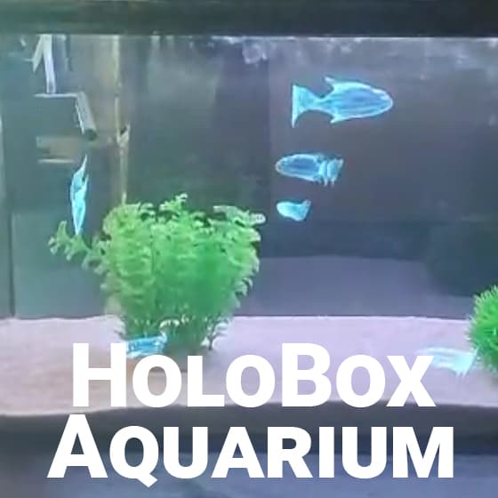 Mathias Nell – HoloBox, Aquarium, 3D Fish, Aniamtion, quick, simple, Fun 